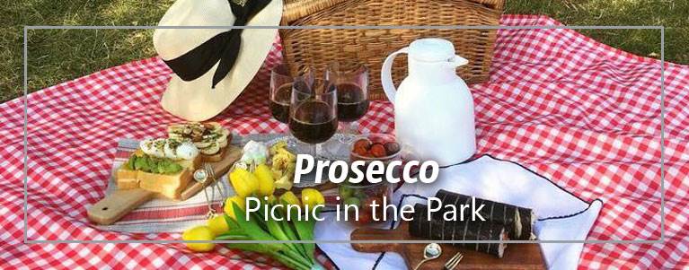 Picnic in the Park