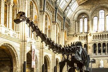 Natural History Museum