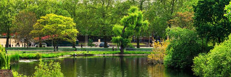 St James Park